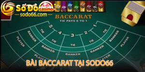 Bài Baccarat - Trò Chơi Của Giới Thượng Lưu Casino