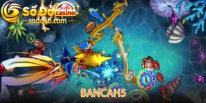Bancah5