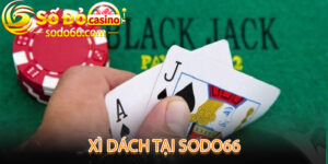 Xì Dách - Hướng Dẫn Cho Người Mới Bắt Đầu