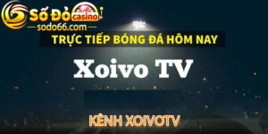 Xoivotv - Giải Pháp Tuyệt Vời Cho Những Người Yêu Bóng Đá