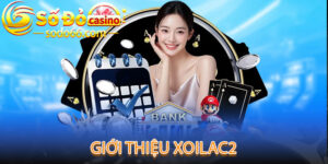 Xoilac2 - Địa Chỉ Xem Bóng Đá Trực Tuyến Miễn Phí