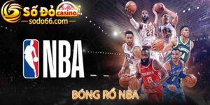 Bóng Rổ NBA - Nơi Tập Hợp Các Tay Ném Thần Sầu