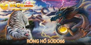 Rồng Hổ Sodo66