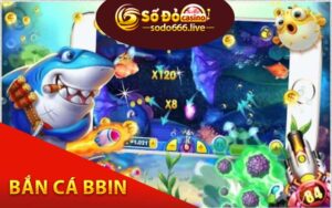 Bắn cá Bbin