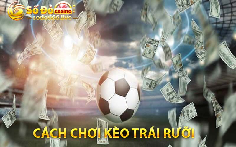 Kèo Trái Rưỡi | Nắm Rõ Thông Tin Để Vào Kèo Thắng Lớn Sodo66 Cách chơi kèo trái rưỡi
