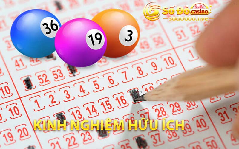 Dàn Đề Rồng Bạch Kim | Kinh Nghiệm Nuôi Và Chơi Bất Bại Sodo Kinh Nghiệm hữu ích