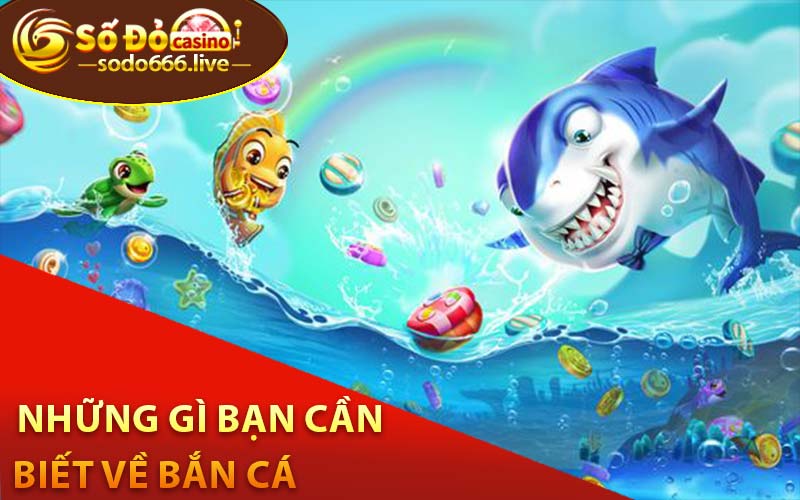 Bắn Cá Đổi Thưởng - Trò Chơi Giải Trí Đỉnh Cao Đổi Thưởng Hấp Dẫn Những gì bạn cần biết về bắn cá