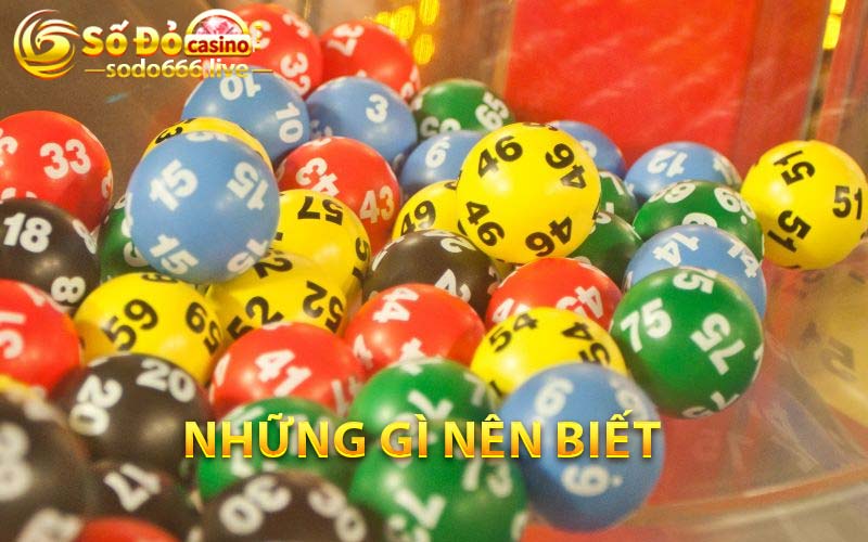 Dàn Đề Rồng Bạch Kim | Kinh Nghiệm Nuôi Và Chơi Bất Bại Sodo Những gì nên biết