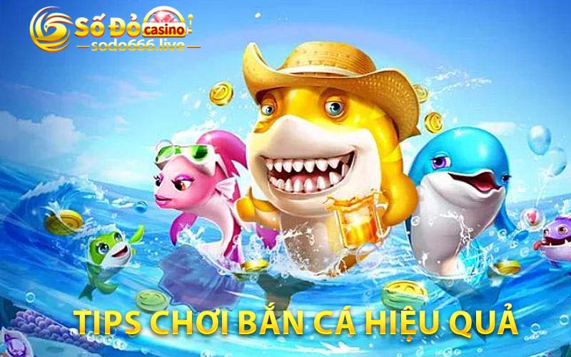 Bắn Cá Bbin | Hướng Dẫn Chơi Thành Công Tại SODO66 Tips chơi bắn cá hiệu quả