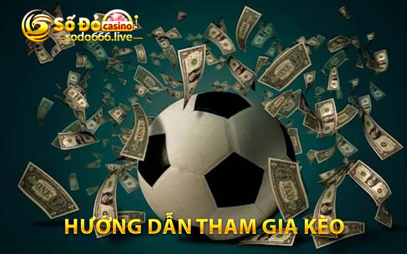 Kèo Đồng Nửa Sodo66 | Nắm Vững Các Nguyên Tắc Để Thành Công Hướng dẫn tham gia kèo